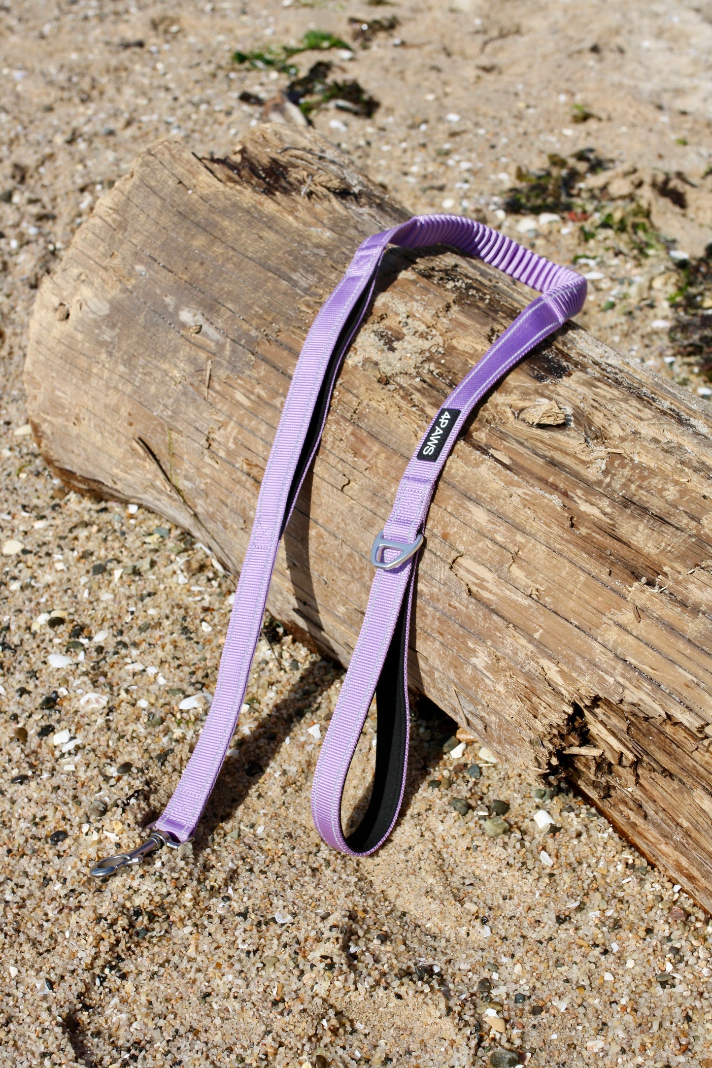 Adventure Leash