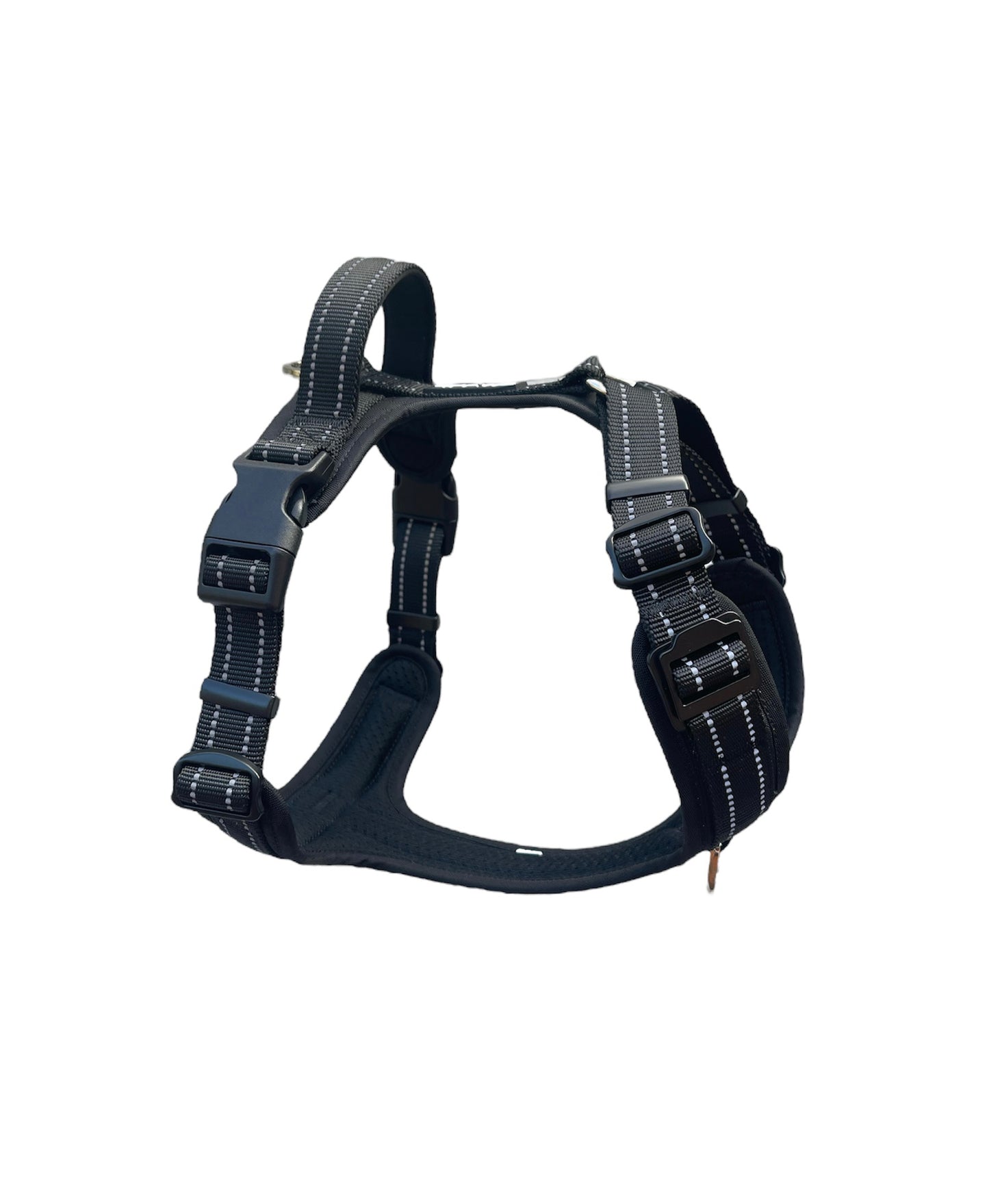 Adventure Harness image 0
