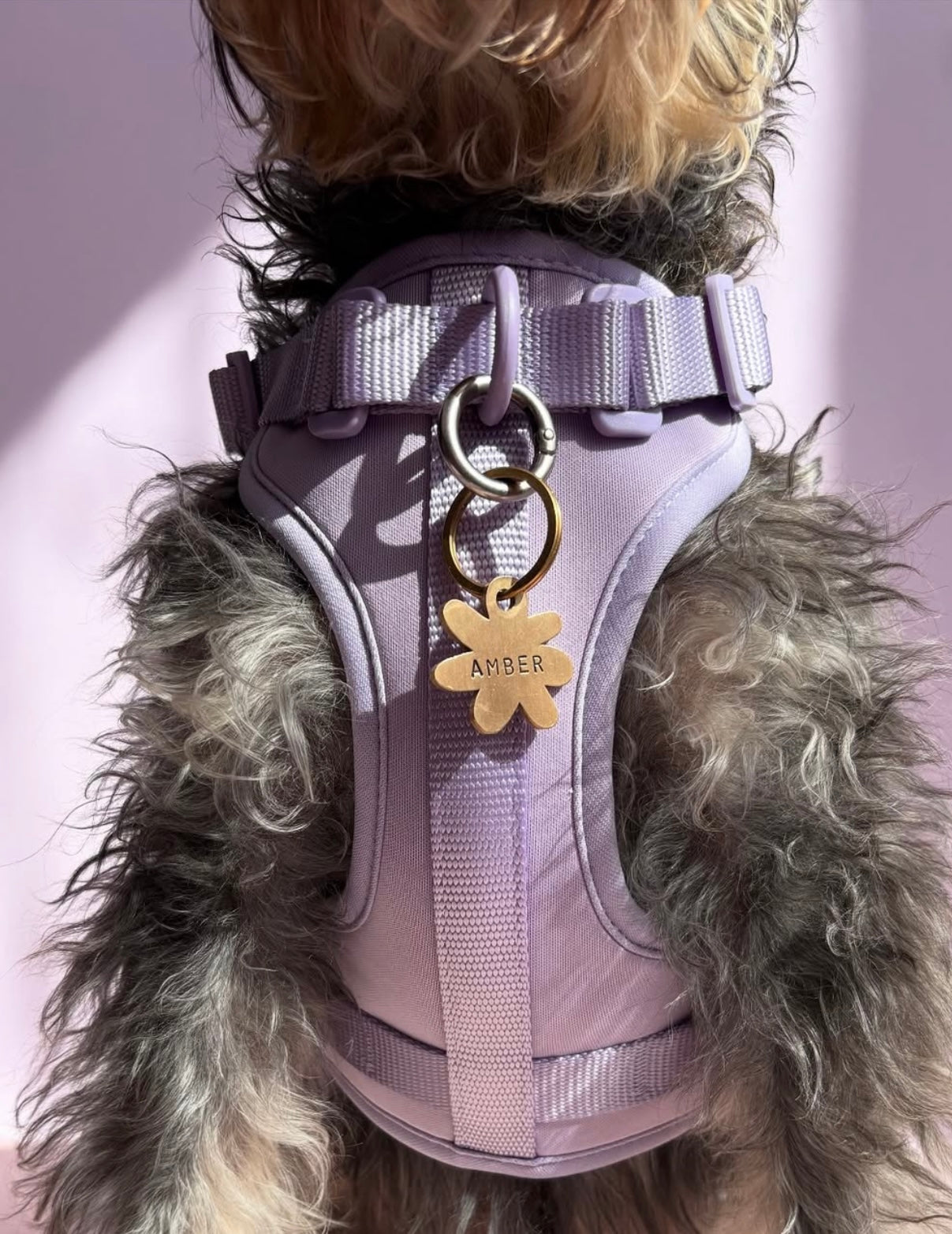 Lilac Air Harness -Medium image 4