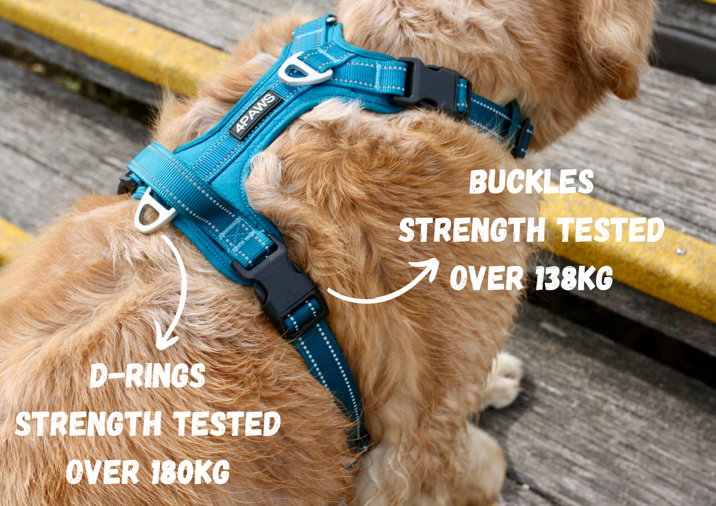 Adventure Harness v2.0
