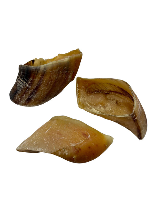 Beef Hoof image 0