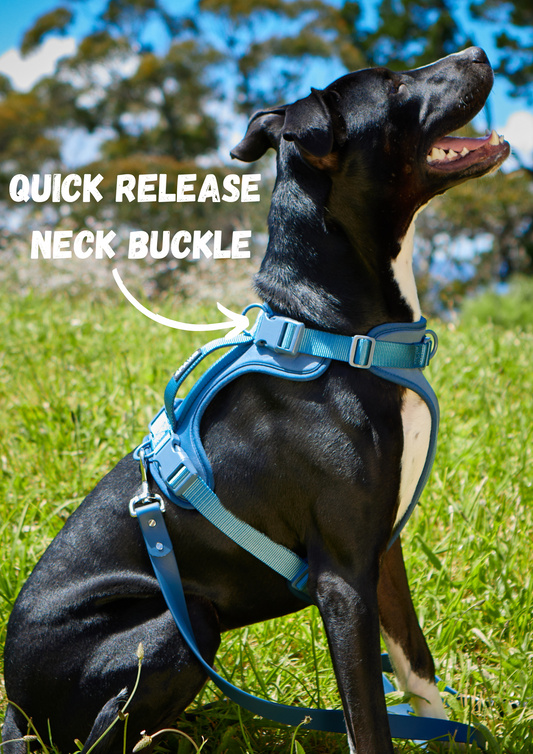 Air Harness v2.0