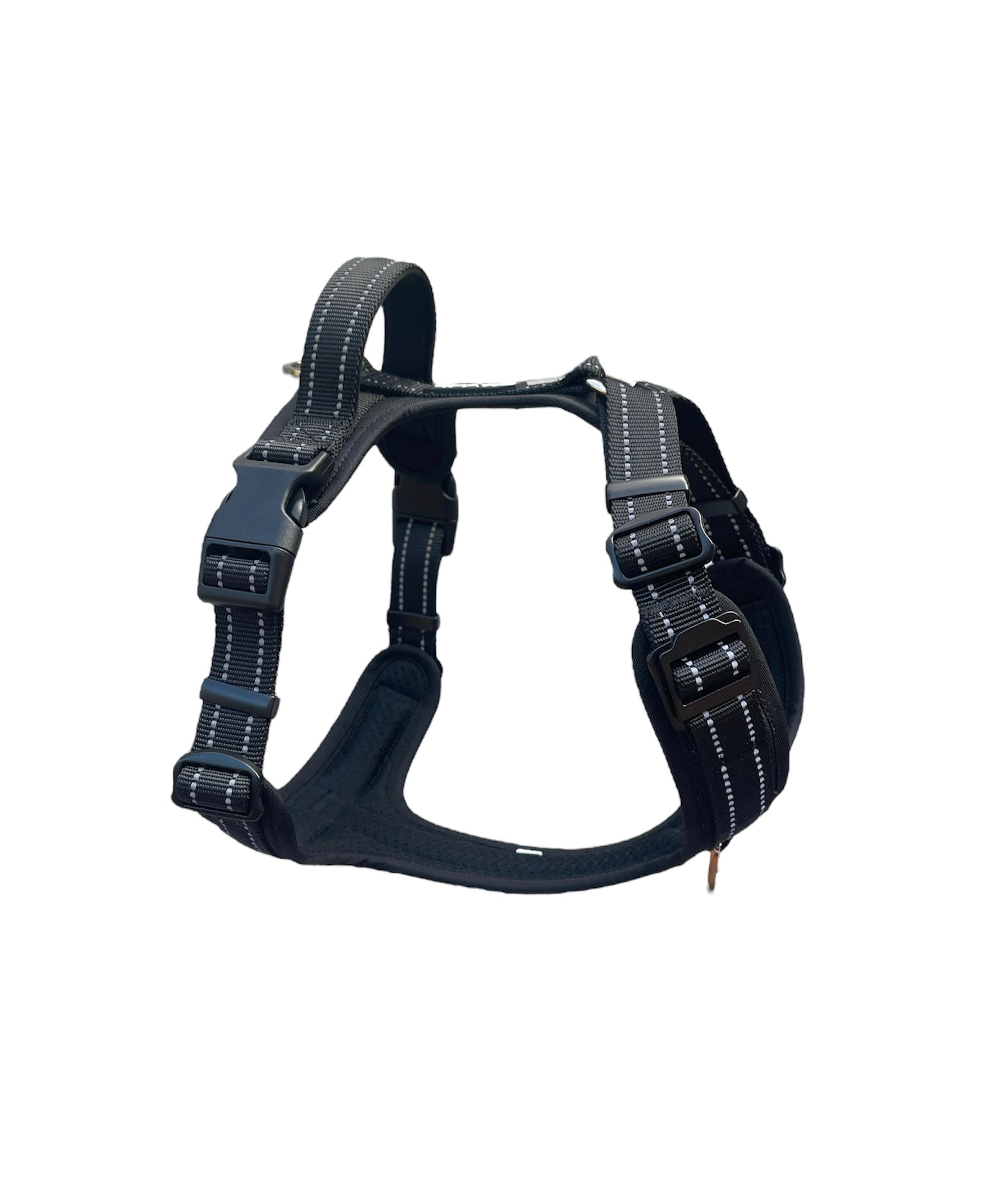 Adventure Harness image 0