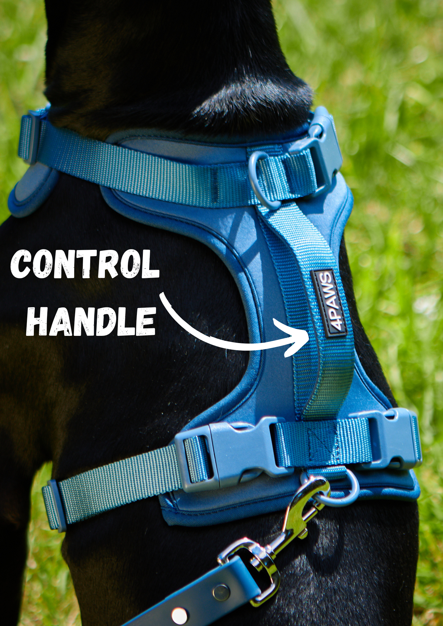 Air Harness v2.0