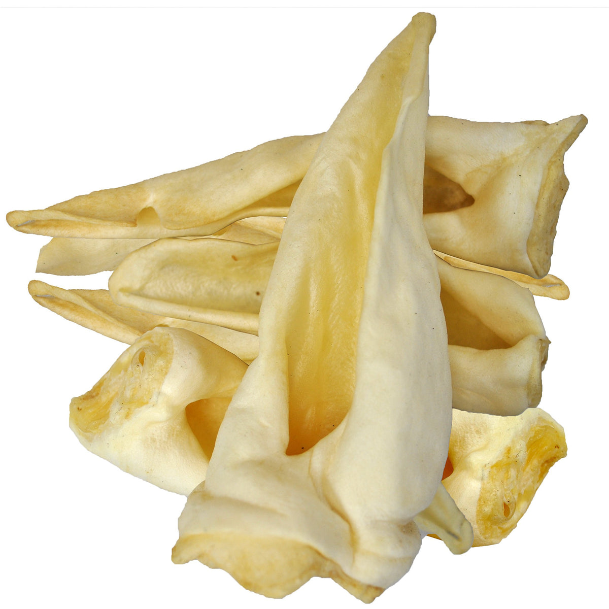 Lamb Ears image 0