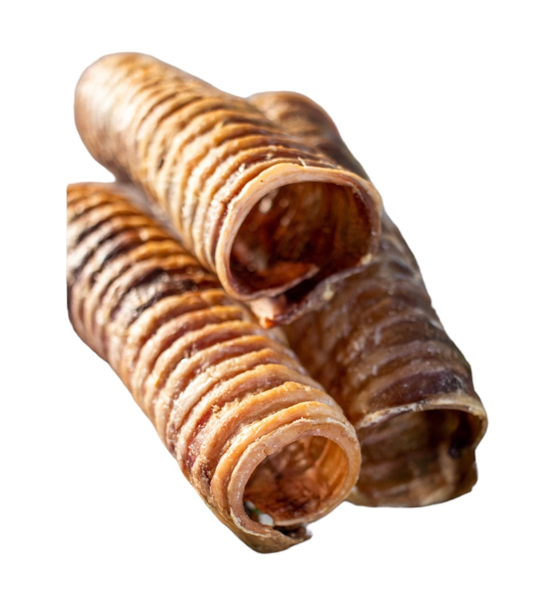 Beef Trachea image 0