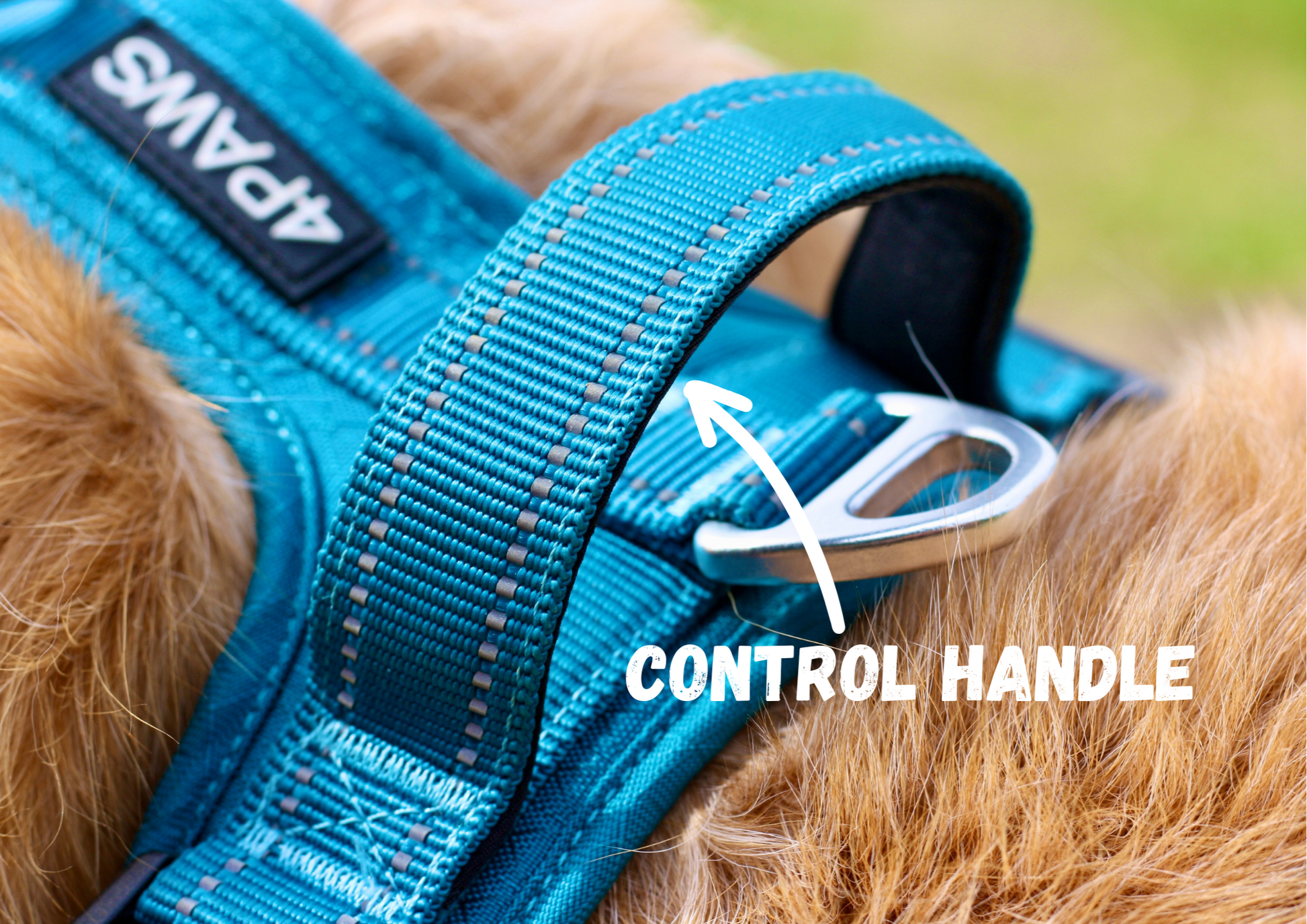 Adventure Harness 2.0 in Arctic Blue — 
 premium, durable, strong and sturdy dog harness, adjustable with anatomical Y-shape design, rustproof hardware, reflective safety features, and breathable mesh padding for all-day comfort. 
picture depicts point out, the traffic control handle.
