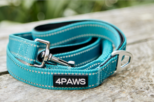 Adventure Leash in Arctic blue — premium shock-absorbing dog leash with rustproof hardware, padded handles, traffic control handle, and reflective safety strips for comfortable, durable walks.