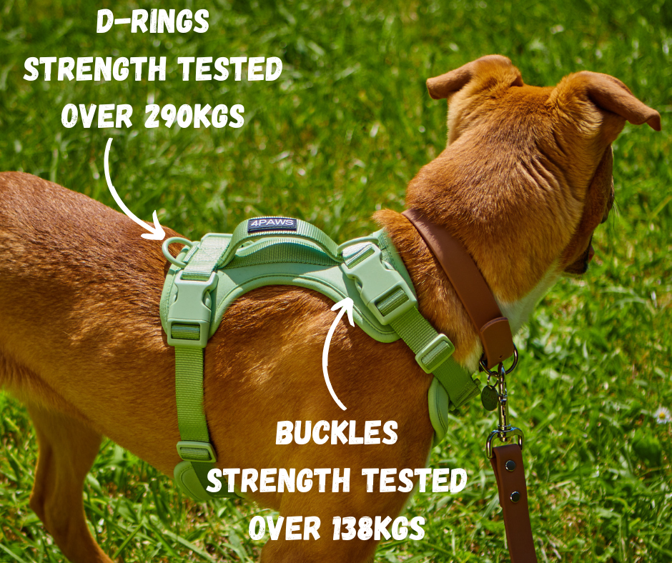 Air Harness v2.0