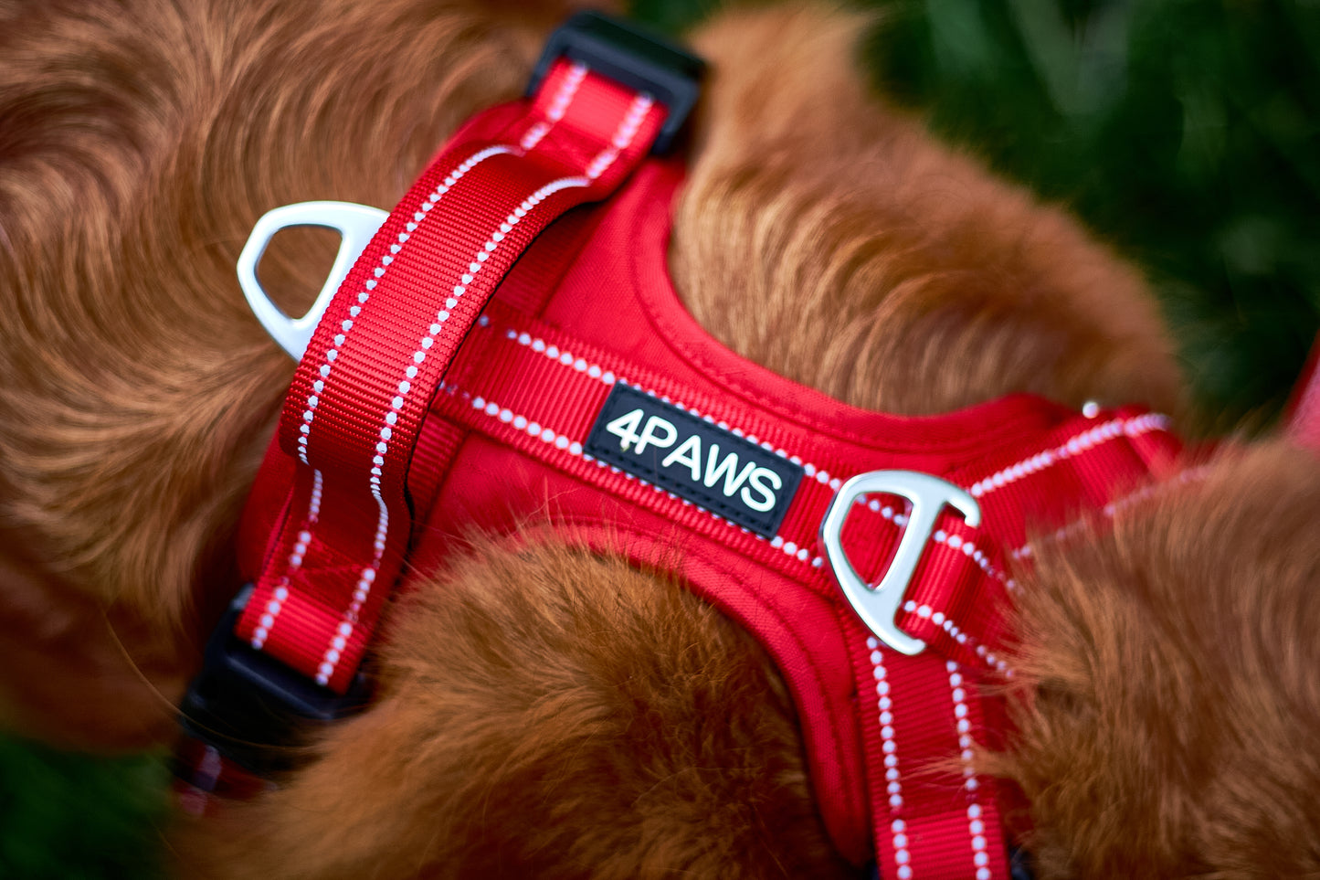 Adventure Harness v2.0