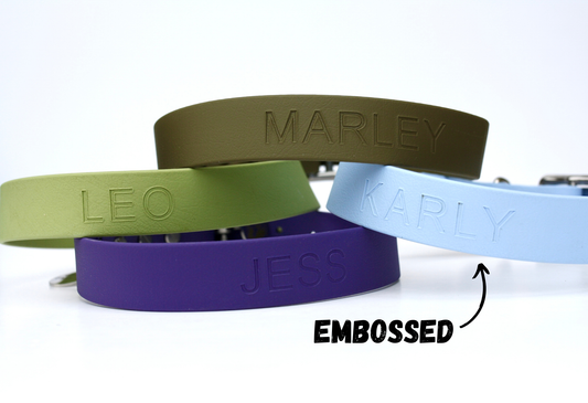 Custom Embossed Biothane Collar