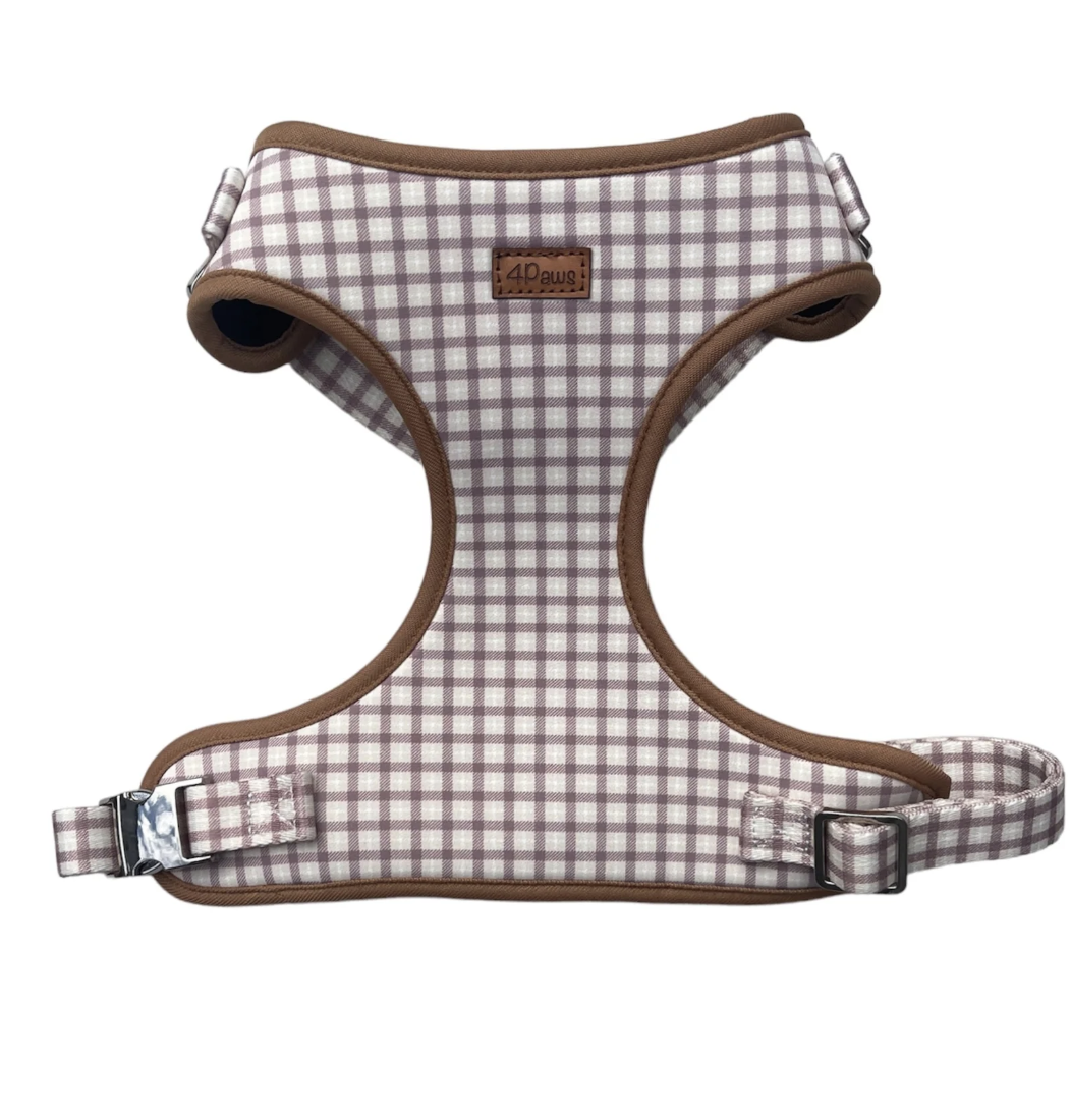 Mesh Harness
