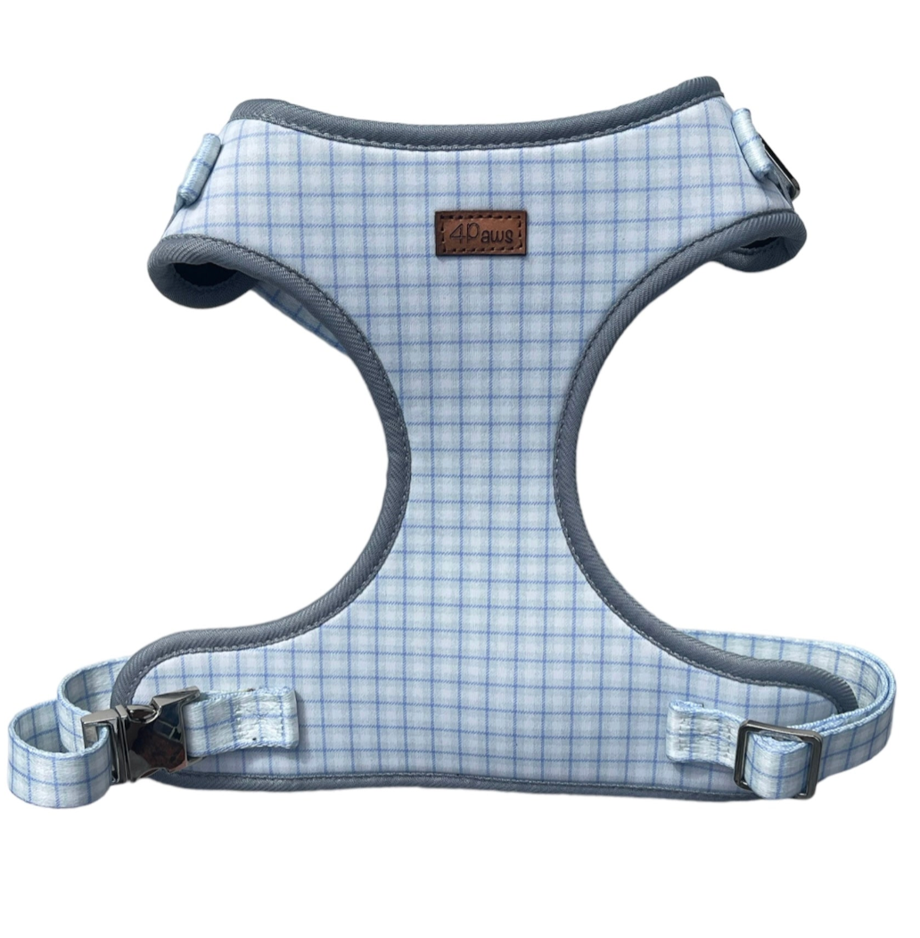 Mesh Harness