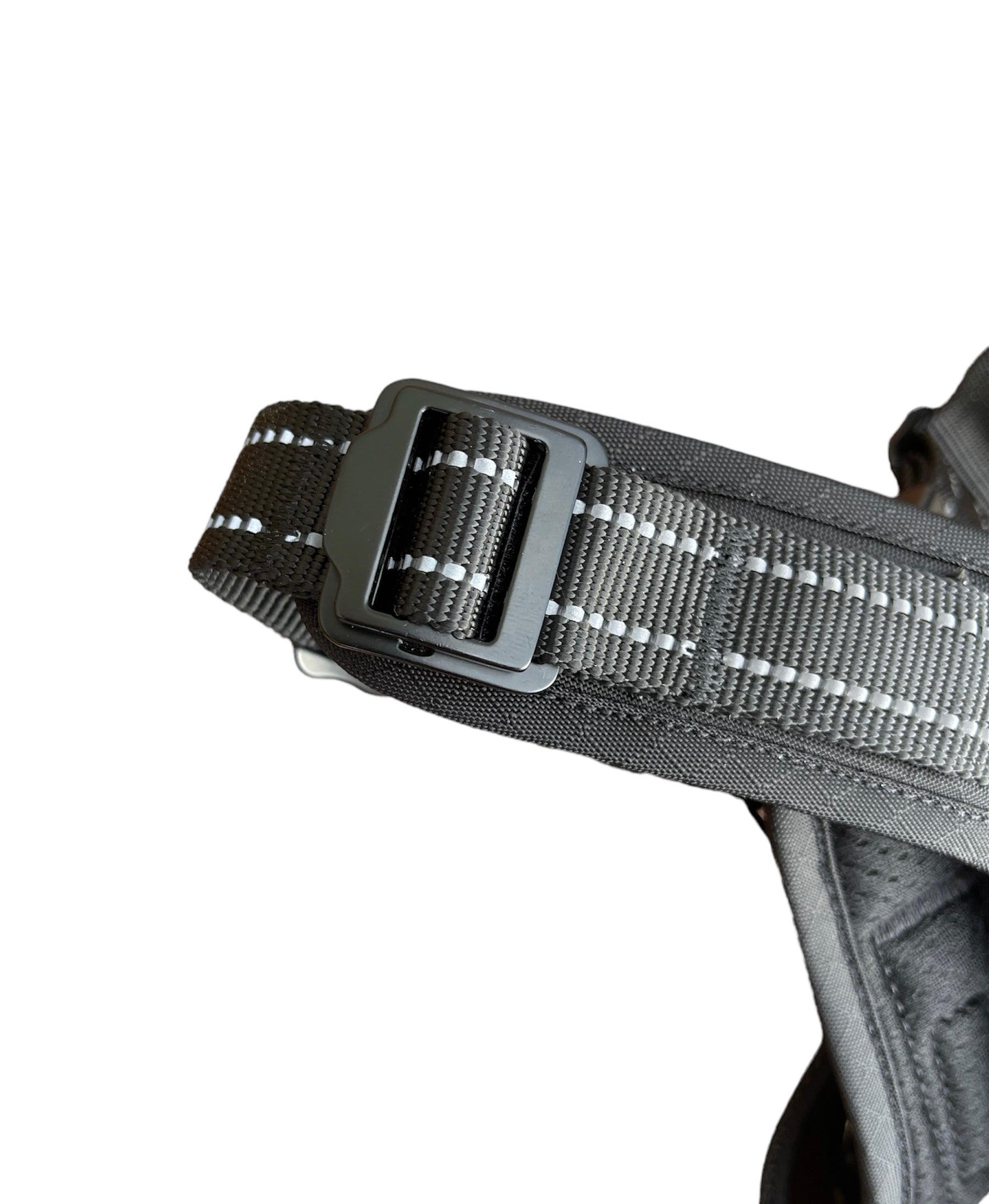 Adventure Harness image 7