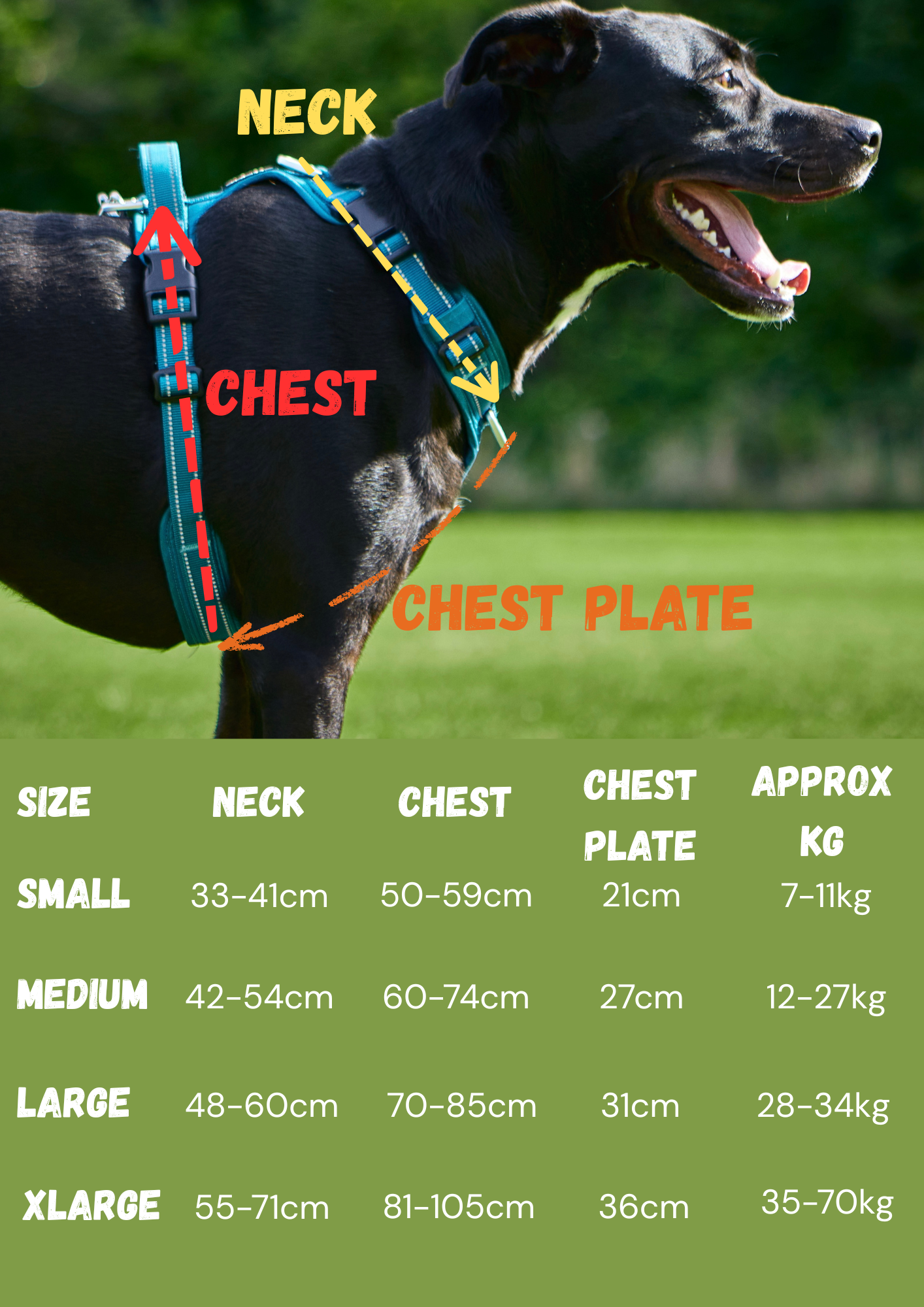 Large lab staffy cross wearing the Adventure dog harness in Arctic blue, designed for secure, comfortable walks and active adventurous lifestyles.
this picture point out, neck, chest and chest plate measurements.